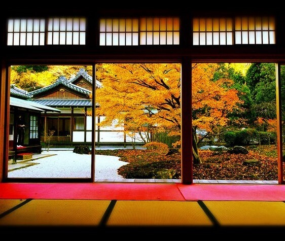 日式园林景观 镰仓 长寿寺