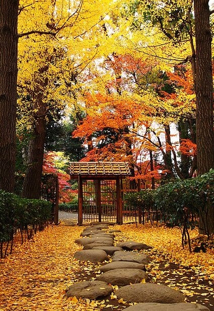 日式园林景观设计 庭院 小路
